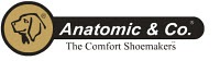 anatomic