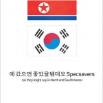 specsaverskoreaflags