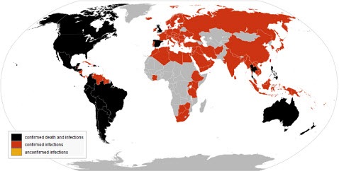 swineflu2009