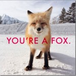 valentine-fox.jpg