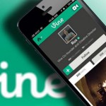 Vine